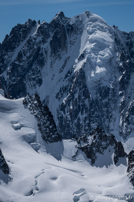 North face of Aiguille Verte (© P. Gatta)