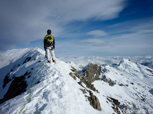 Summit of Gelas, 3143m (© Philippe Gatta)