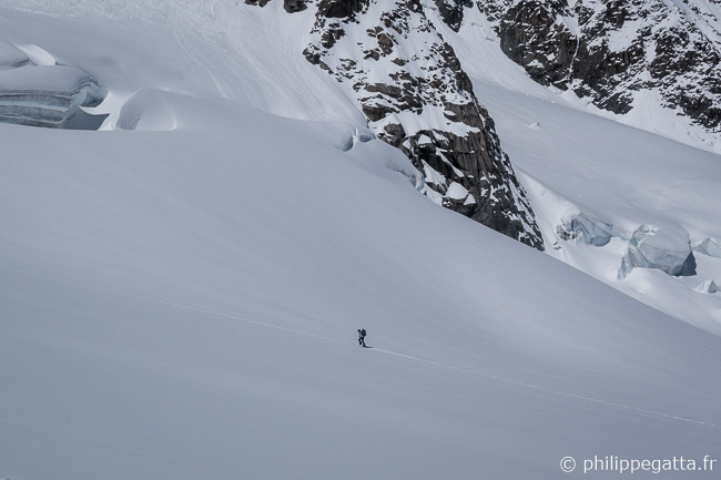 Argentiere glacier to Col des Courtes (© P. Gatta)