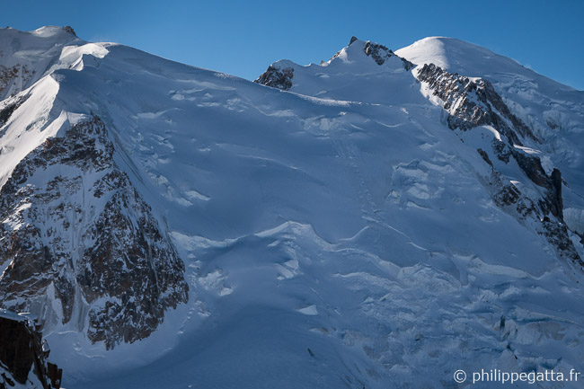 Mont Blanc du Tacul (© P. Gatta)