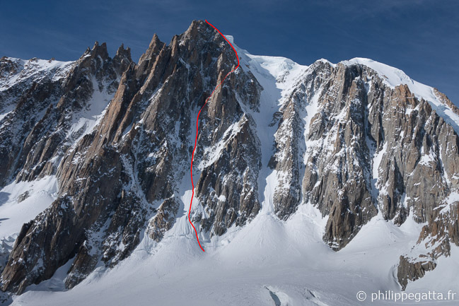 Mont Blanc du Tacul - Couloir Macho (© P. Gatta)