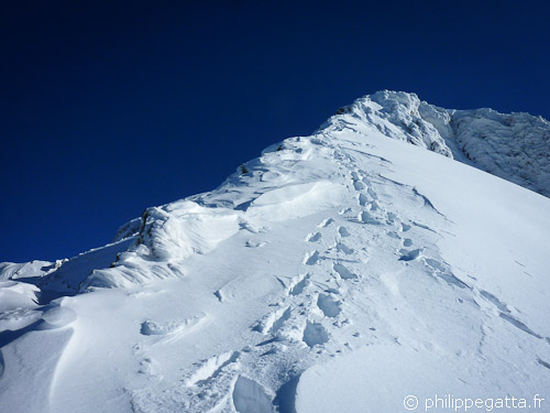 Top of Southwest ridge of Gelas (© P. Gatta)