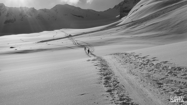 Haute Route: On the way to Col Mt Brulé (© P. Gatta)