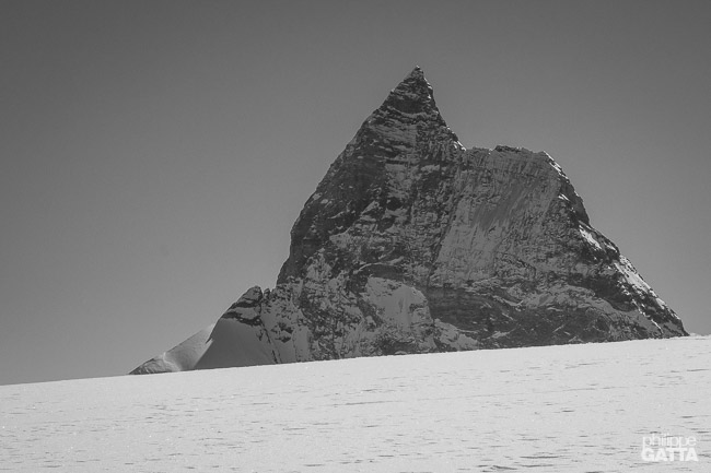 Matterhorn / Cervin (© P. Gatta)