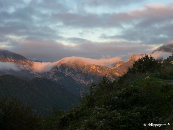 Esteron valley early in the morning (© P. Gatta)