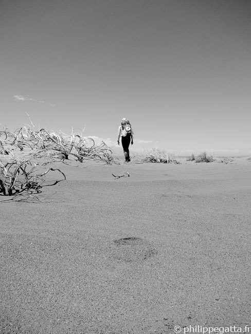 In the desert of Atacama (© P. Gatta)
