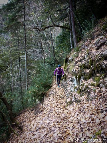 Steep Trail between Condamine and Ilonse (© Philippe Gatta)