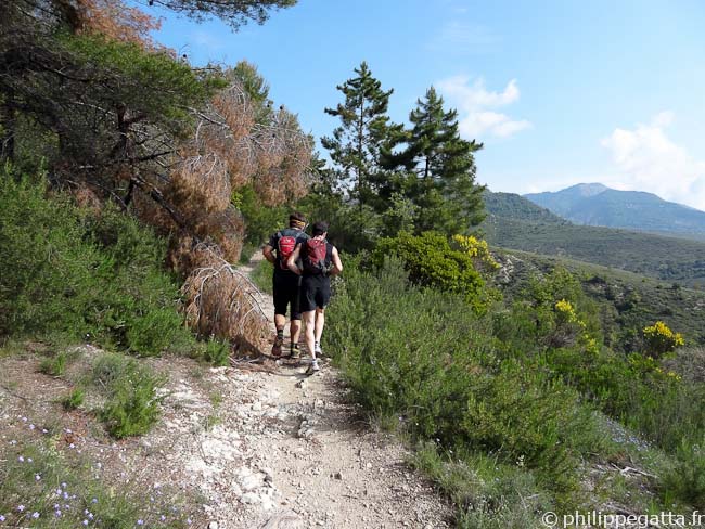 Running toward Baisse de la Buse (© Philippe Gatta)