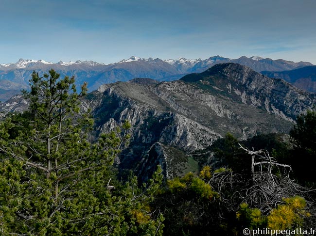 The Alps and Roccassièra seen from Mont Férion (© Philippe Gatta)