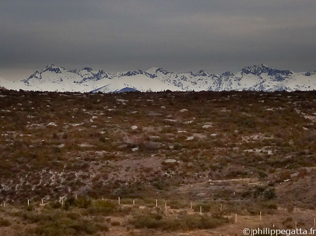 Alps from Gelas to Grand Capelet seen from Les Combes (© Philippe Gatta)