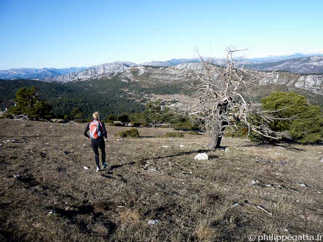 Going down to Parc de la Mouliere (© Philippe Gatta)