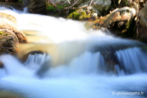 River close to Boreon (© P. Gatta)