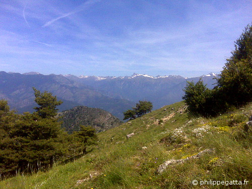 View over the Alps from the Cime de Roccassiera (© P. Gatta)