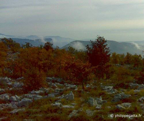 View from Col de Vence (© P. Gatta)