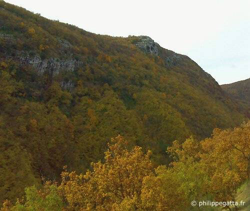 Clos du Capelan (© P. Gatta)