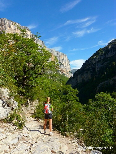 Trail Martel, Verdon(© P. Gatta)