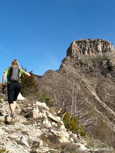 Running toward the Castel de Gineste (© P. Gatta)