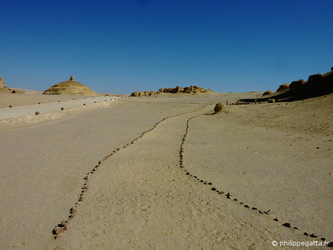 Sahara Race: the valley of whales (© Philippe Gatta)