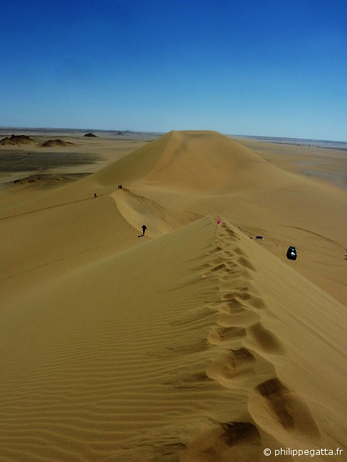 Sahara Race: big dunes in the stage 5 (© Philippe Gatta)