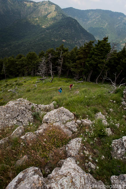 Climbing Cime de Simon (© Philippe Gatta)